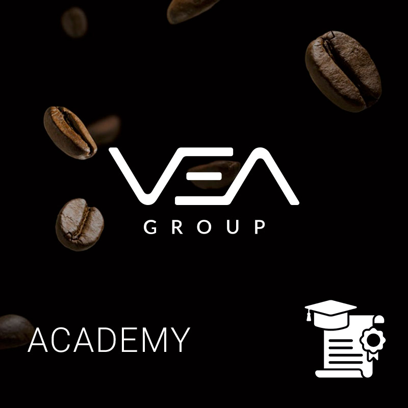 Ultramas e la Creazione di Academy per VEA Ventures: Un MVP per l'Educazione a Distanza