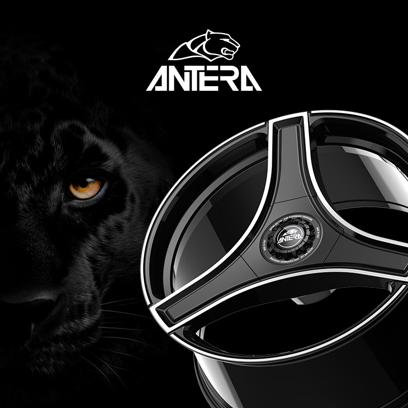 B2B Antera (Provvisorio)